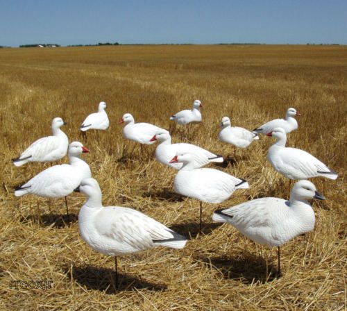   GREENHEAD GEAR T&T 5/8 SNOW GOOSE ACTIV DECOYS 700905710676  