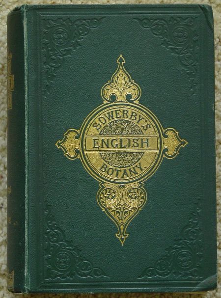 Published in London by George Bell & Sons, York Street, Covent Garden.