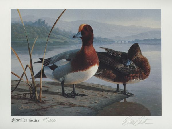 1991 United Kingdom Duck Stamp Print  