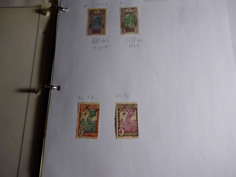 France Colonies Stamp Collection  