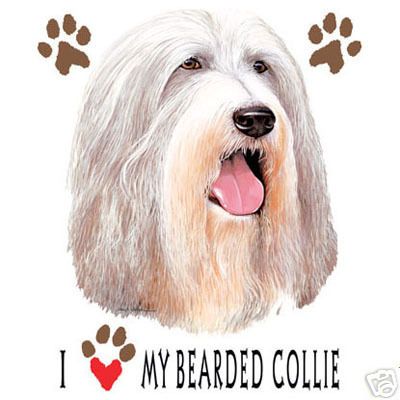 Bearded Collie Love Sweatshirt & Pants  