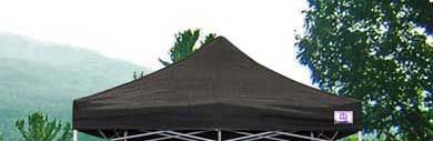 New Ez Pop Up Canopy 10 Shelter Fair EZUP Tent   Black  