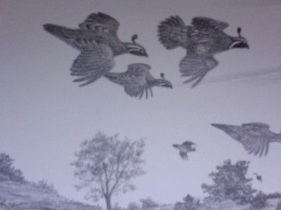 David Hagerbaumer Original Signed Pencil Drawing Gamebirds Valley 