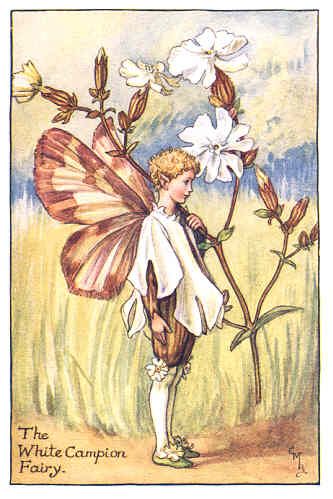 FLOWER FAIRIESCOWSLIP. VINTAGE PRINT. C.M.BARKER.c1930  