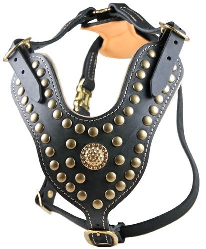 Leather Studded Harness Cane Corso Mastiff Rottweiler  