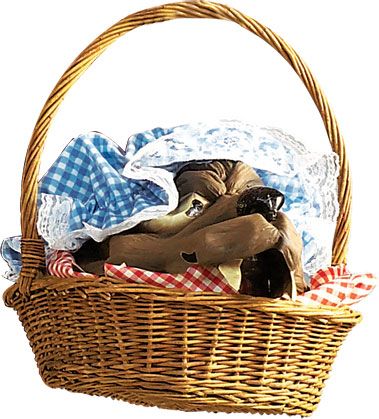 Basket with Wolfs Head   Little Red Riding Hood Costum  