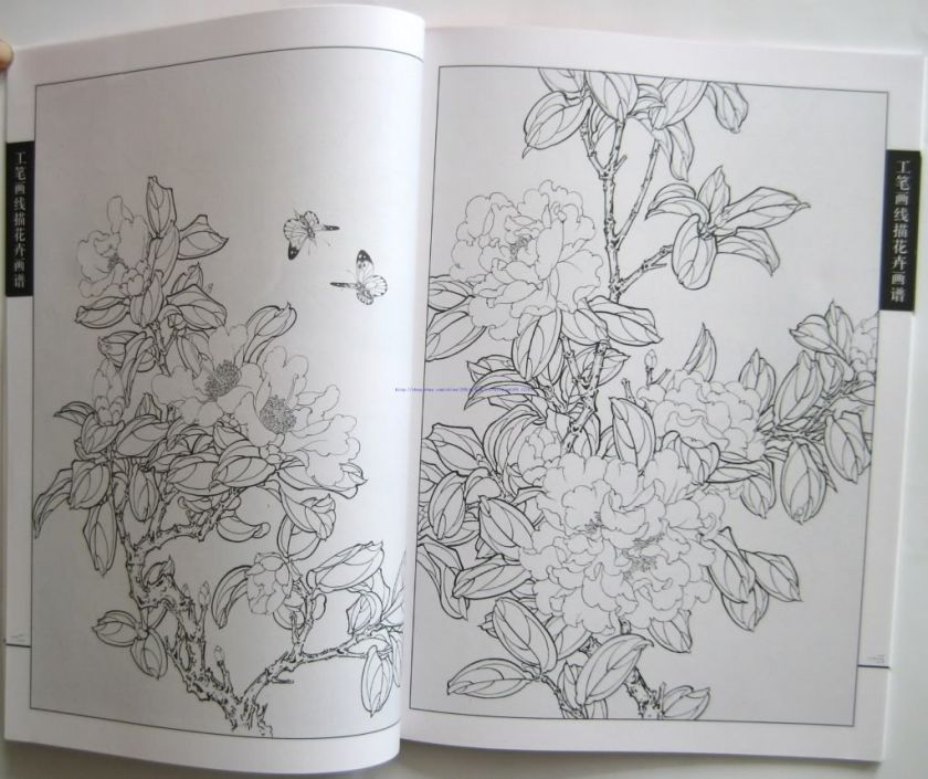 LINE CHINESE PAINTING BOOK GONGBI CAMELLIA FLOWER  