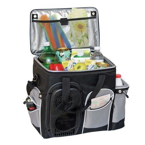 Wagan electric 12V Portable Travel Car Cooler D25  