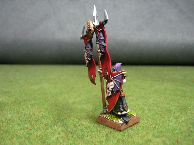 Warhammer DPS painted Dark Elf Spearmen DK008c  