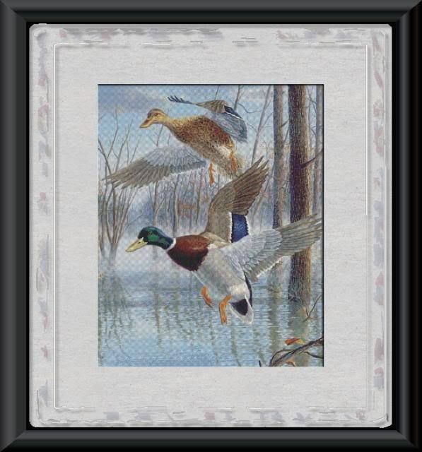 MALLARD DUCKS~COUNTED CROSS STITCH PATTERN  