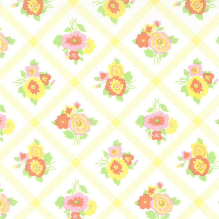 MODA Fabric ~ DREAM ON ~ Urban Chicks   1/2 yard  