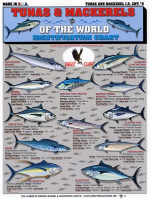 TUNAS & MACKERELS   ID Chart   Tightlines #9  