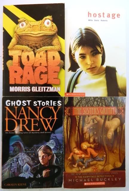 Lot 28 5th Grade Reading Level Chapter Books Accelerated Reader RL 5 