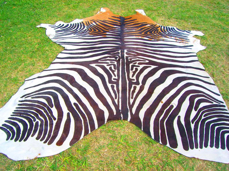 ZEBRA Print/Printed COWHIDE SKIN Rug steer COW HIDE dc2079  