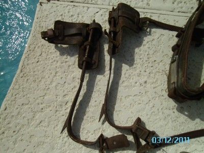   BELL SYSTEMS GAFFS, UTILITY BELT TREE/POLE CLIMBING GEAR TLC  