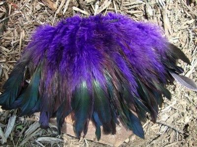 50 HALF BRONZE PURPLE SCHLAPPEN ROOSTER FEATHERS 5 7  